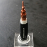 銅芯風(fēng)力發(fā)電用動(dòng)力電纜