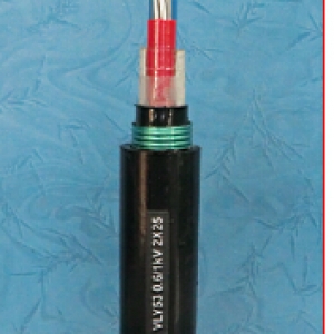 無(wú)錫遠(yuǎn)東電纜